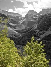 glacier national park2.jpg